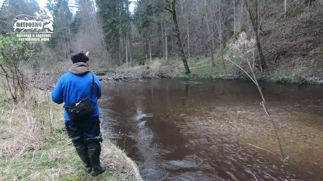 БОЛЬШОЙ УЛОВ. VLOG: Ловля форели на спиннинг. Красота рыбалки и природы. Весна 2018. смотреть онлайн