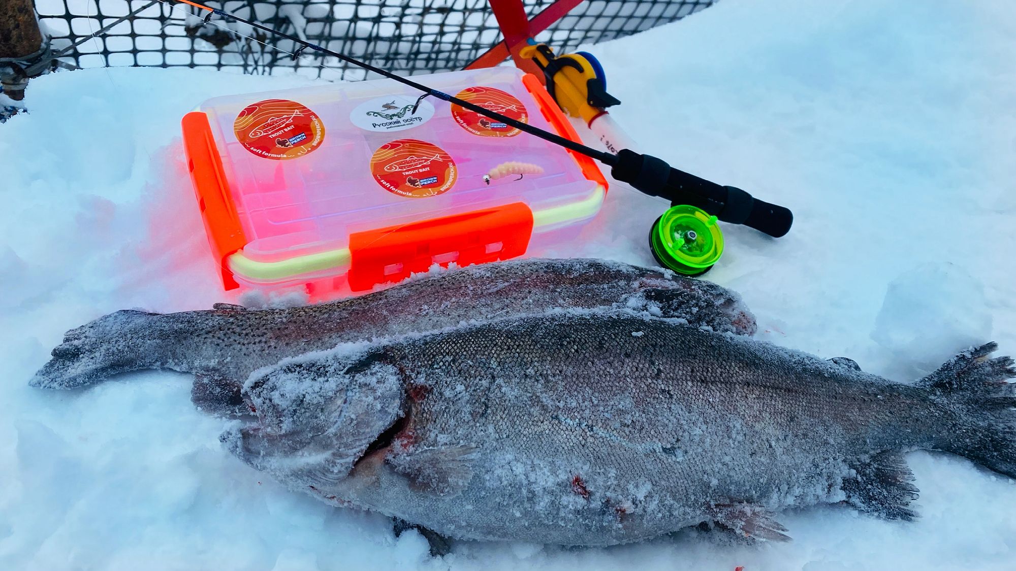 ФОРЕЛЬ ЛЮБИТ РОЗОВЫЙ Ловля форели зимой на резину Подводная сьемка смотреть онлайн