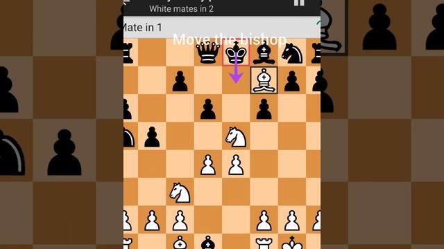 What's the correct move here? #shorts смотреть онлайн