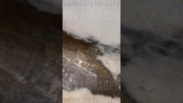 Кислотные моющие средства приводят ванну к такому! смотреть онлайн