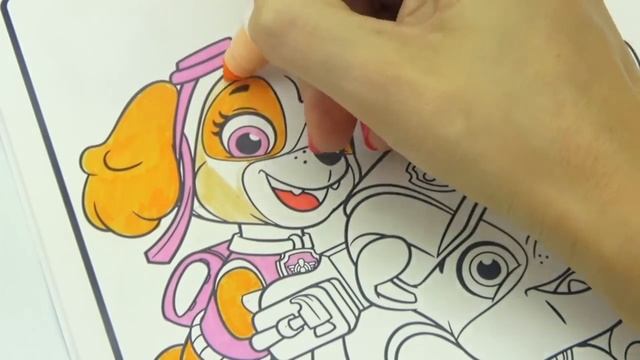 Шиммер и Шайн раскраска для детей, развивающее видео