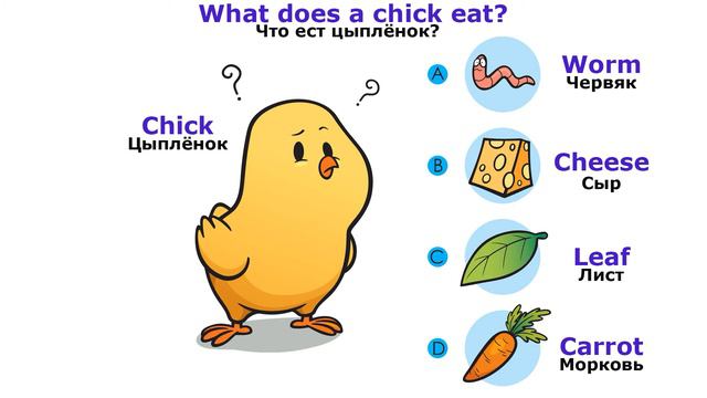 Дикая природа и ее обитатели