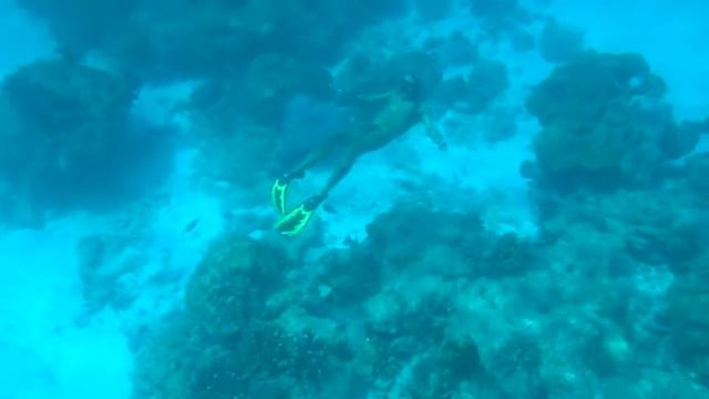 Симиланские плавуны = )) смотреть онлайн