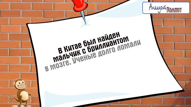 Вертикальная лужа и другие казусы ДО СЛЁЗ смотреть онлайн
