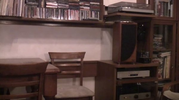 Гибридный усилитель  Ampearl PA1040.