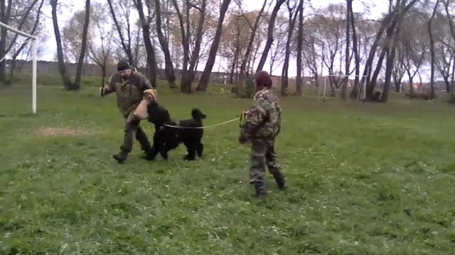 VID_20161016_144349 смотреть онлайн