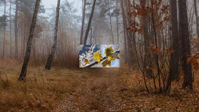 НАРОДНЫЕ ПРИМЕТЫ НОЯБРЯ. смотреть онлайн