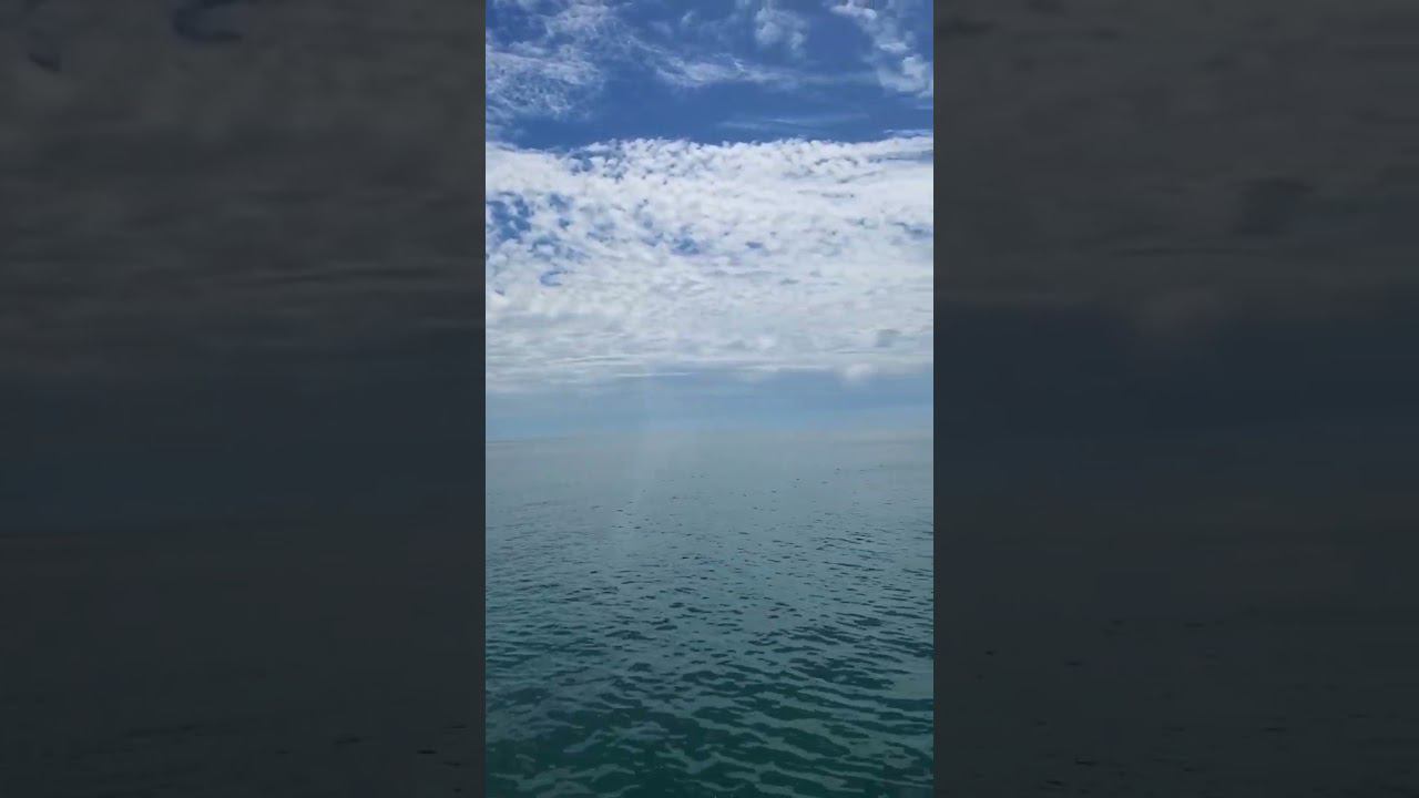 11.05.23 г. Погода Лазаревское #shorts смотреть онлайн