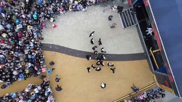 День молодёжи в Надыме 2022