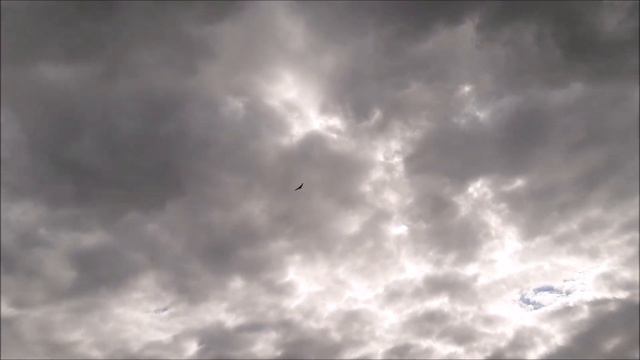 Sunbirds - VTOL Drone - Flight Transition Demonstration смотреть онлайн
