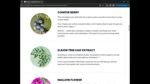 BAZOPRIL - bazopril reviews - bazopril review - bazopril side effects - bazopril reviews 2024 смотреть онлайн