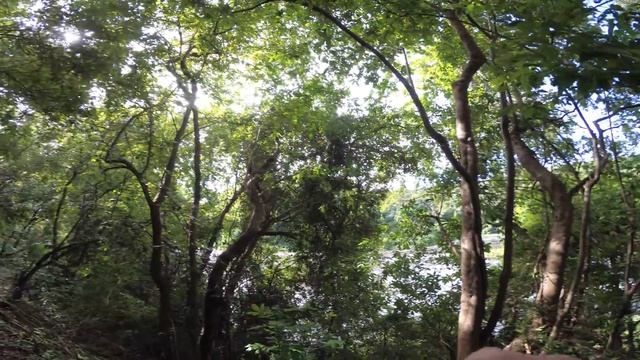 К водопаду нужно идти пешком! Странный звук. Ловушки для мухи цеце. смотреть онлайн