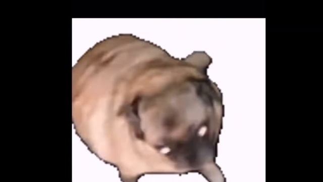 Salami Gulp gulp gulp gulp gulp смотреть онлайн