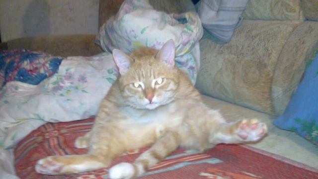 ЛУЧШАЯ БАЗА НА SKYBLOCK / SUBSHIELD СКАЙБЛОК