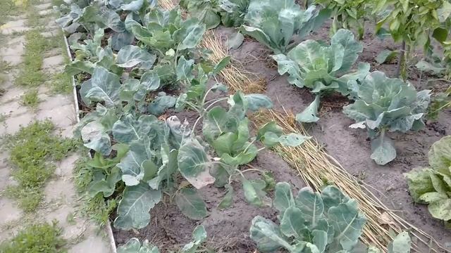 БОМБА! Чем заняться на каникулах летом школьнику дома, если скучно ?Хобби для школьников 9-12 лет смотреть онлайн