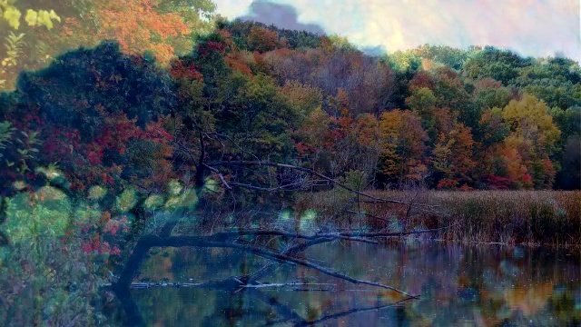 Lucinda Williams--Louisiana Story