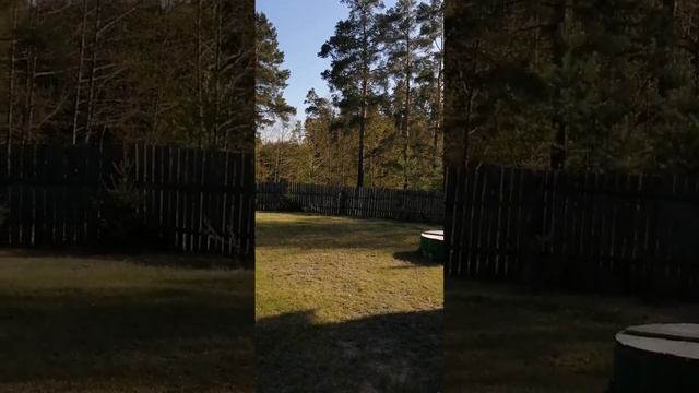 Ремикс "Весна. Дача. Природа." Россия. Курган. смотреть онлайн