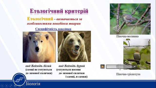 КЗ "Бірківська ЗОШ І-ІІІ ст." онлайн урок Біологія 10 клас смотреть онлайн