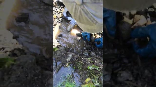 Моем золото в горном ручье. Испытание минидраги и эжектора ДИПСИС. смотреть онлайн