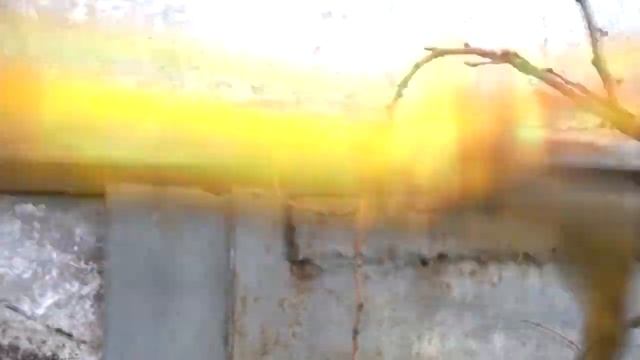 Воєнні заброшені склади смотреть онлайн