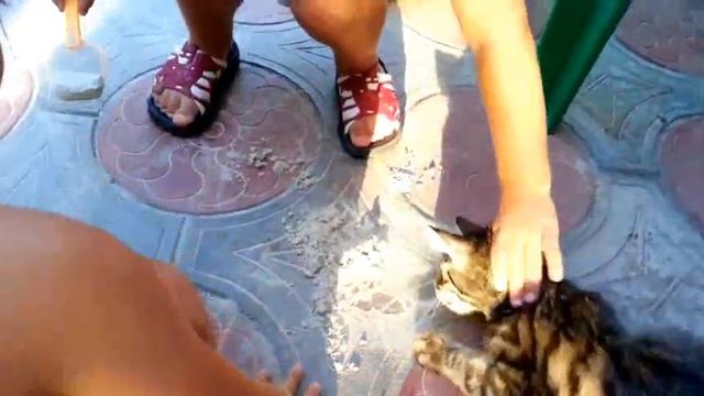 Котенок и дети смотреть онлайн