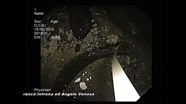 Изъятия из гробницы частицы мощей святителя Николая Чудотворца в Бари, Италия смотреть онлайн