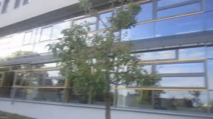 chris ares gzuz gericht bushido fler bloody32 kollegah farid bang apache 207 187 deutschrap bonez m