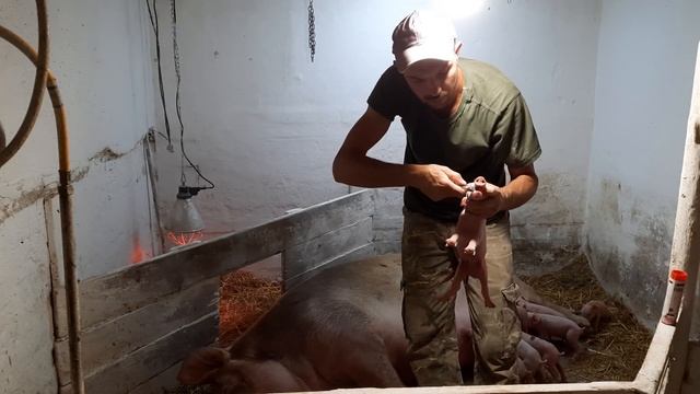 //Опорос продолжается,ещё один Валерчик//Скусываю клыки в первый день-зачем это делаю Я??? смотреть онлайн