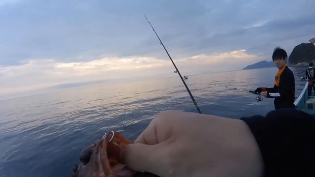 Ima Gun & Duo Press Bait SMASHING Rockfish & Grouper смотреть онлайн