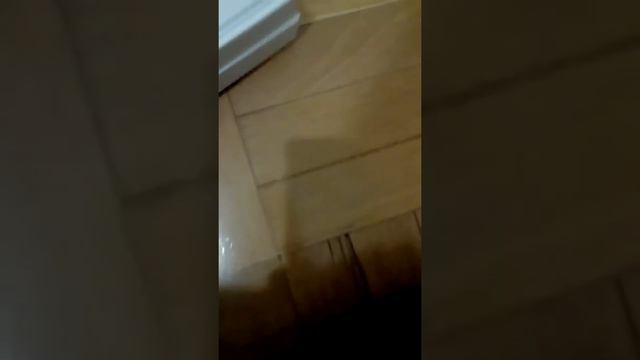 Самсунг а3 смотреть онлайн