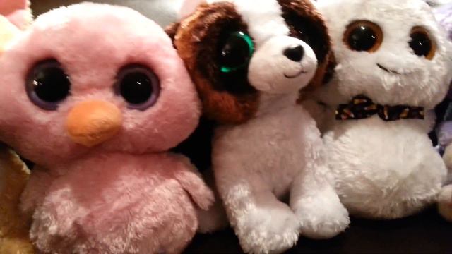 100 BEANIE BOOS!  My Entire Collection (Update #5)