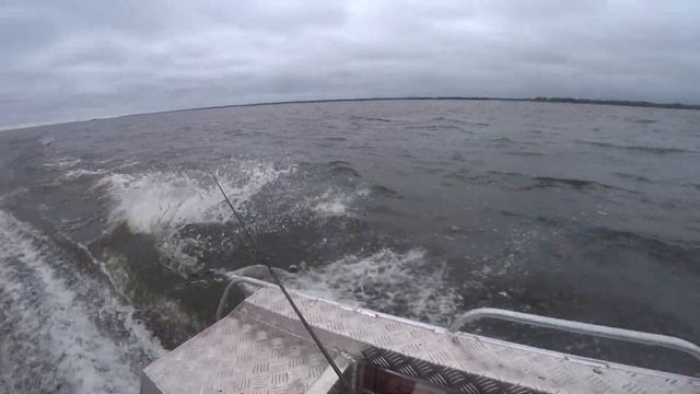 Рыбалка в дельте на спиннинг. смотреть онлайн