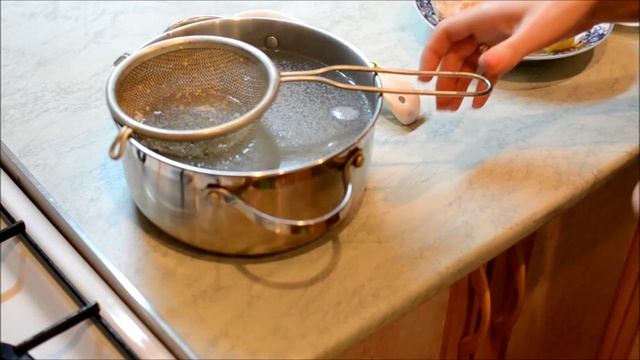 Наука о Животных и их Поведение