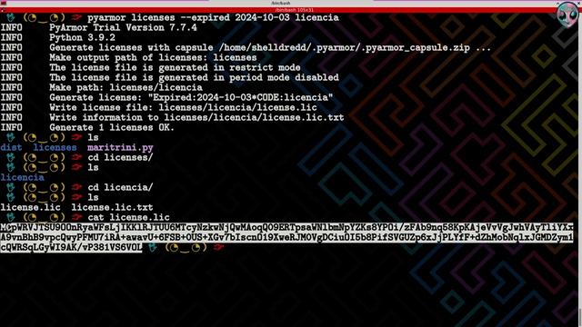 OFUSCAR Código PYTHON con PYARMOR. Encriptar programas, apps y scripts смотреть онлайн