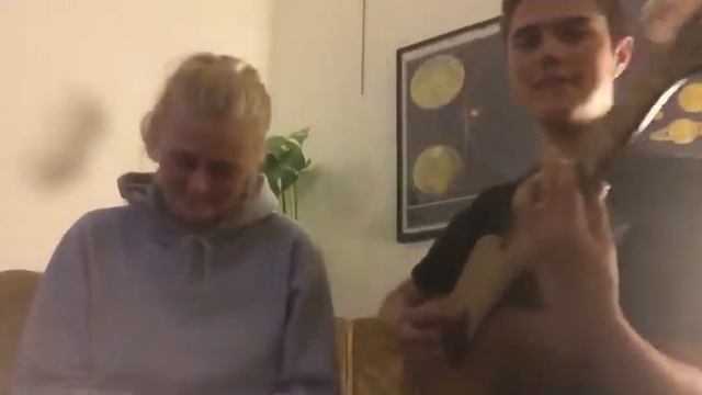 Kvittrande orm смотреть онлайн