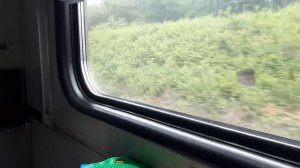 Едем домой// Новороссийск- Сыктывкар// 3- е суток в плацкарте с детьми// Отдых с детьми//