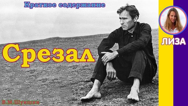 Краткое содержание Срезал. Шукшин В. М. Пересказ рассказа за 5 минут смотреть онлайн