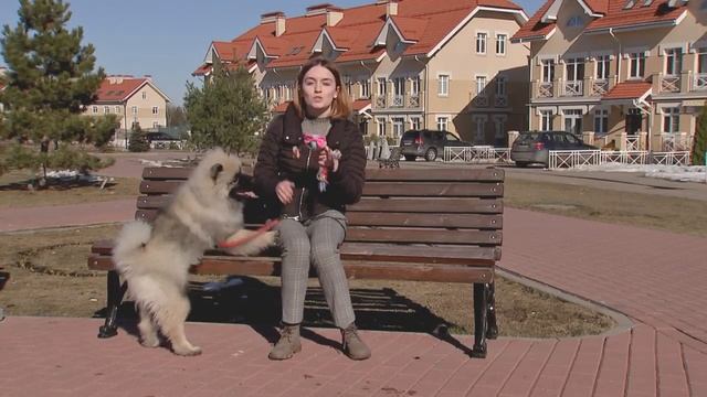 Кеесхонд. смотреть онлайн