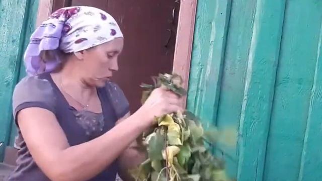 Лакомство для коз. Заготовка веников. смотреть онлайн