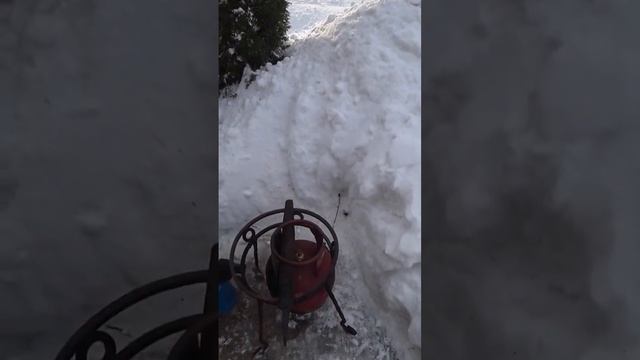 Самодельный парогенератор для разморозки труб из газового баллона. #дача #бизнес #водоснабжение смотреть онлайн