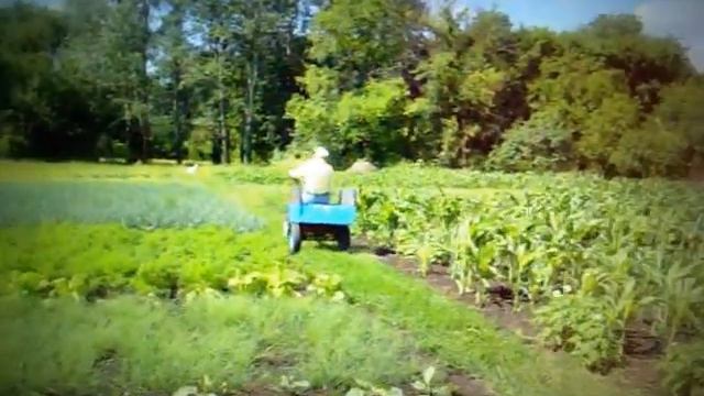 МОЙ 90-ЛЕТНИЙ ДЕДУШКА ГРИША И ЕГО ТРАКТОР. СЕЛО БОГДАНОВКА. UKRAINE. смотреть онлайн