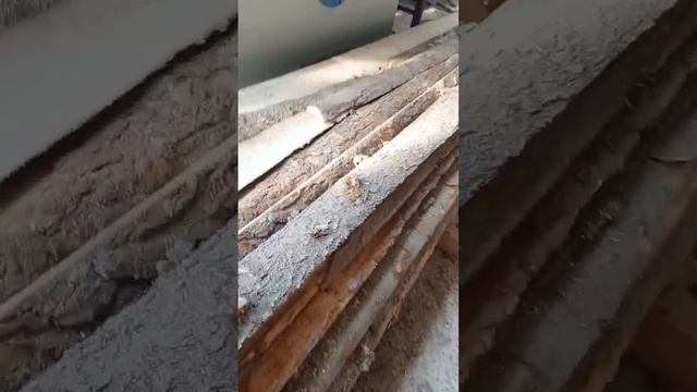 натуральный утеплитель - опилки для вашего дома в г.УФА  #утепление #пилорама #лесопилка #опилки