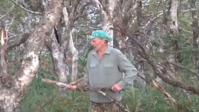 Мельничное г Арму и обратно смотреть онлайн