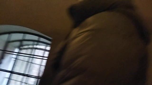 Санкт-петербург путешествие. Часть 3. Тюрьма Трубецкого бастиона. Петропавловская крепость. смотреть онлайн