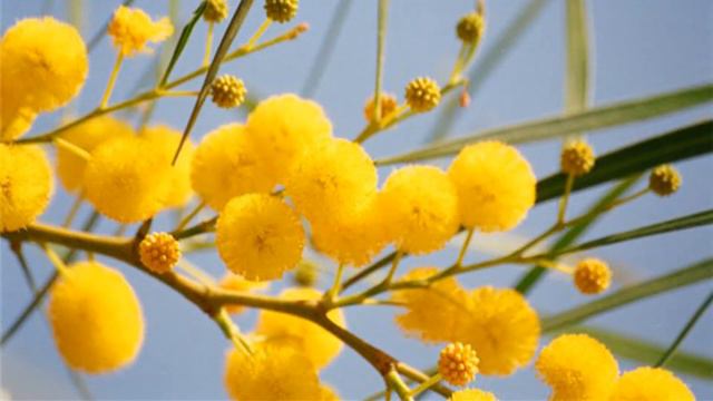 Первые Весенние Денечки! смотреть онлайн