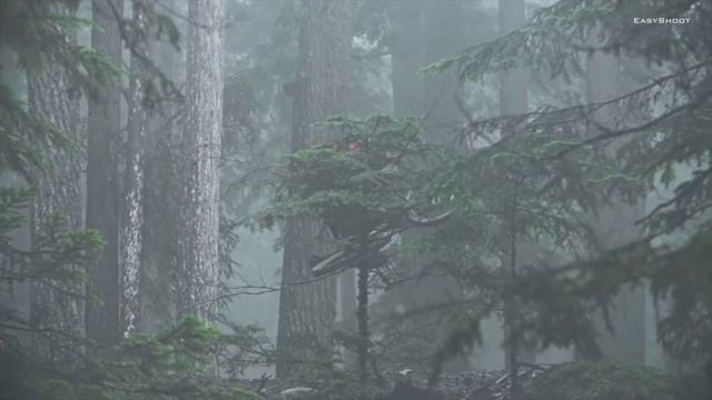 The beauty of the Mountain Bike - Ride, what else? смотреть онлайн