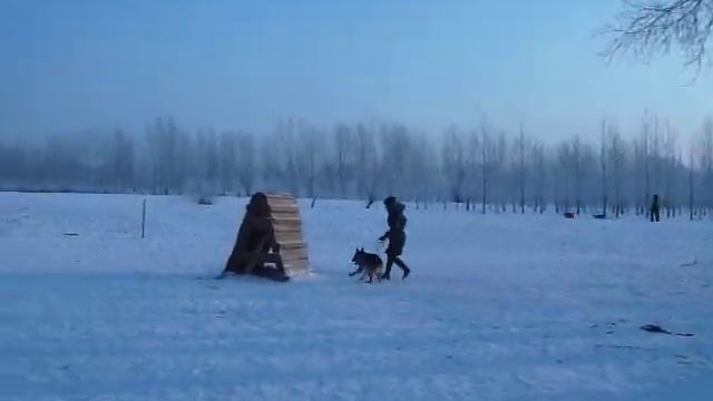 Тренировка - дело тонкое (часть 2) смотреть онлайн