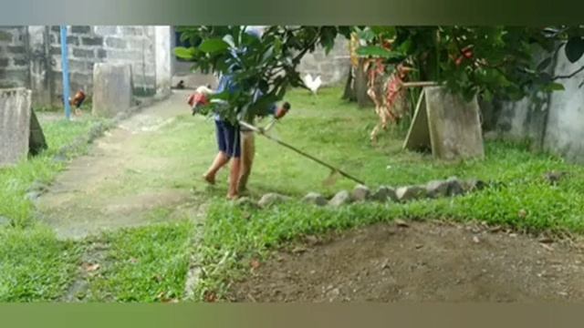 mg grass cutter po tayo sa farm ng amo ko how to cut in grass смотреть онлайн