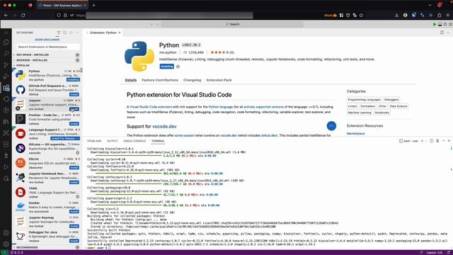 Running a Jupyter notebook in SAP Business Application Studio смотреть онлайн