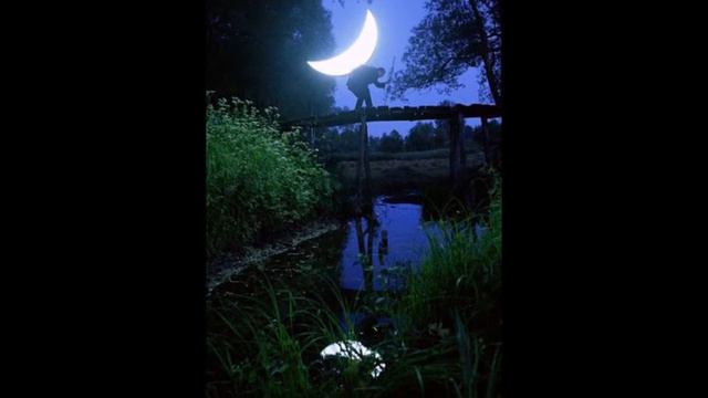 Private Moon project by Leonid Tishkov (Music: Moonlight Sonata) смотреть онлайн